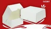 HOKKY BOSS AP 310gr 15.5x12x6.5cm Ivory