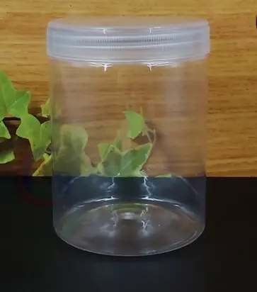 KS Toples Cylinder 750ml 35g + Tutup Jar Natural  