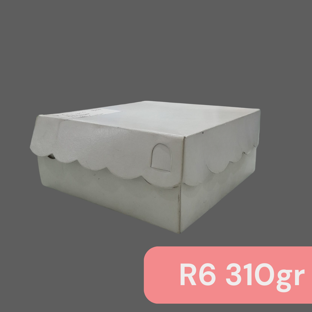 HOKKY BOSS R6 310gr 15x15x6cm Renda Putih