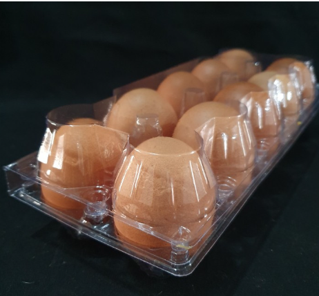 [SKS.SS10K] SS Tray Telur Egg Tray isi 10 Kancing