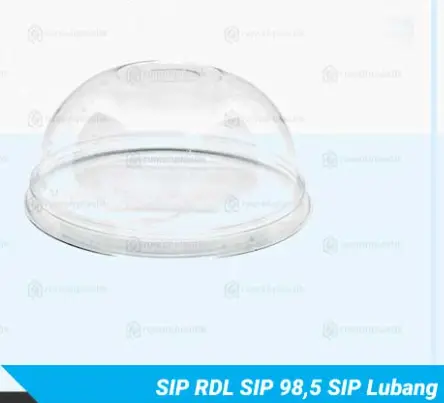 [SIP.98545] SIP RDL 98,5-45